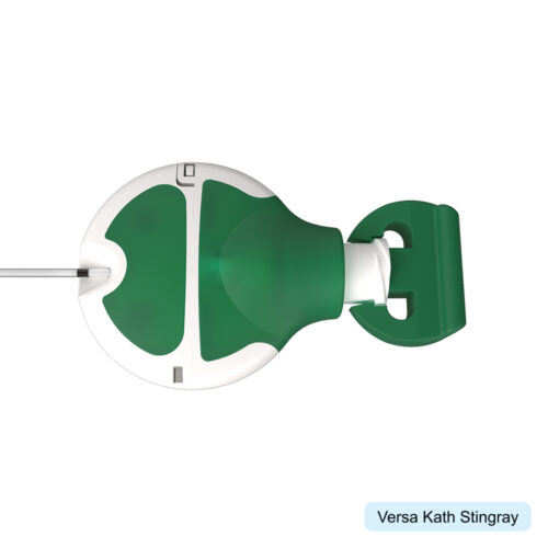 A close-up of a versa kath stingray.