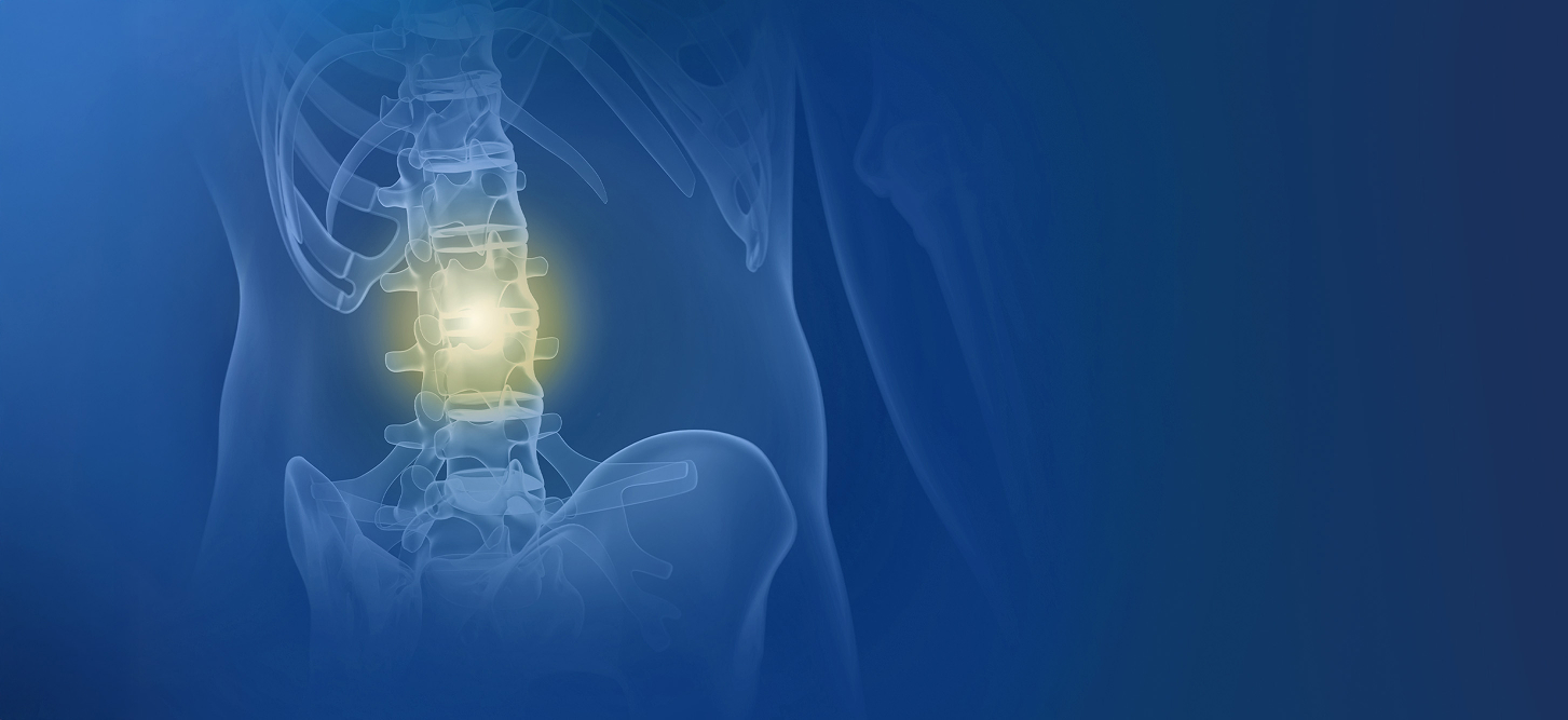 Parimed_banner_kregoslup_2