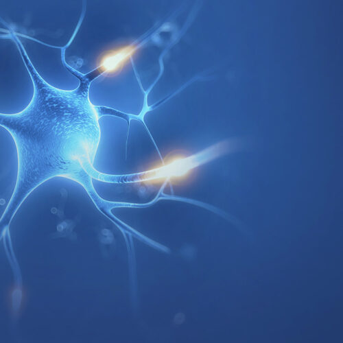 Neuromodulation Therapy