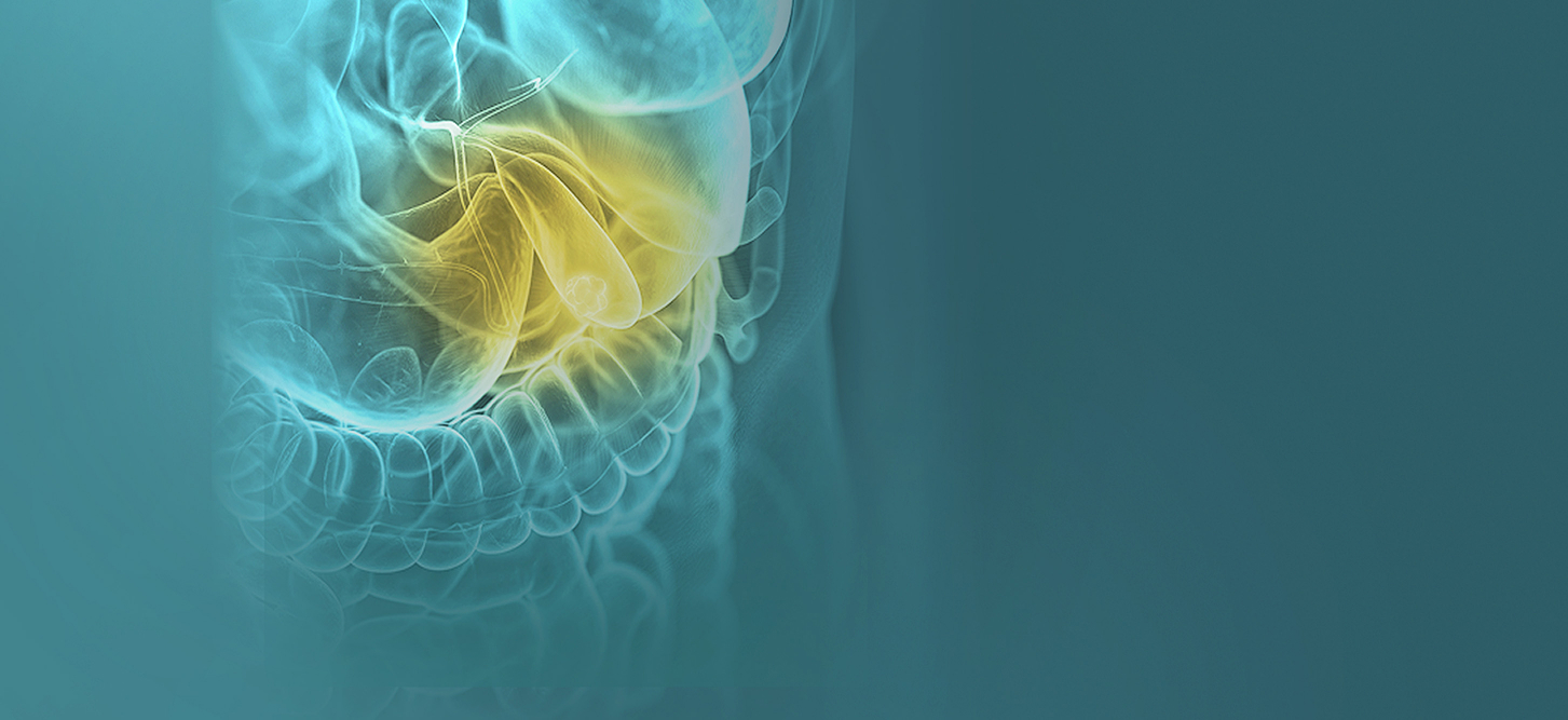 Parimed_banner_zoladek 1